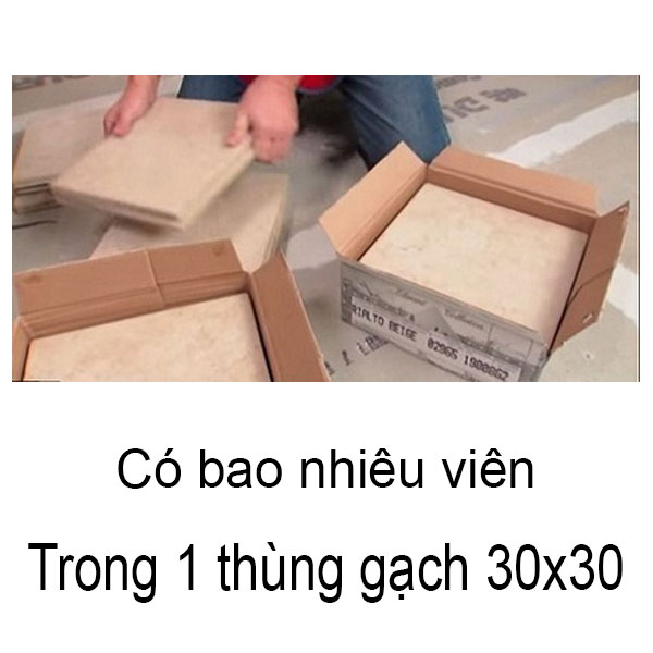 1-thung-gach-30x30-co-bao-nhieu-vien
