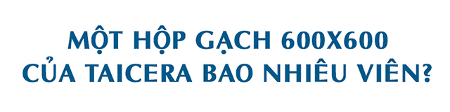 1-hop-gach-600x600-bao-nhieu-vien