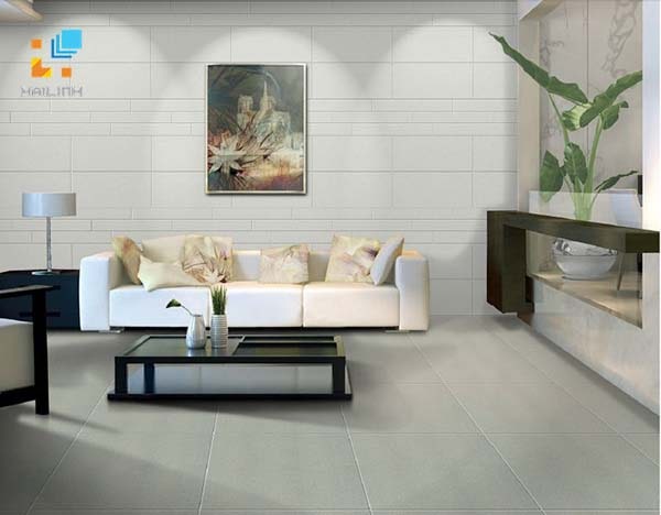 gạch Taicera 30x60 phổ biến nhất