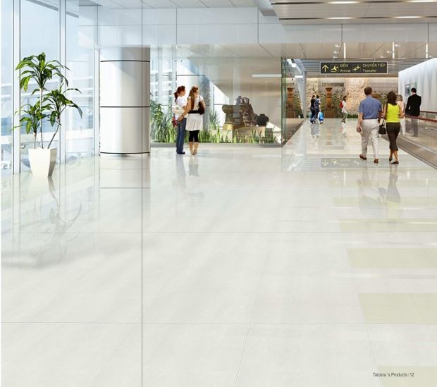 Gạch Taicera 800x800