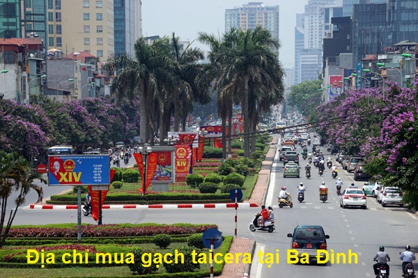 địa chỉ mua gạch taicera tại Ba đinh