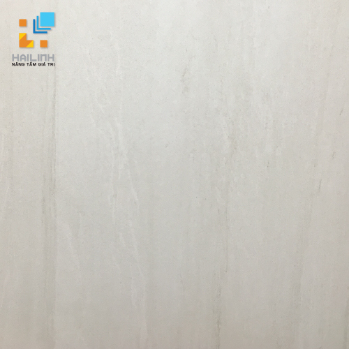 g6b095_1 Gạch lát nền Taicera