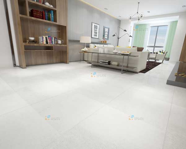 gạch ốp lát taicera hiện đại