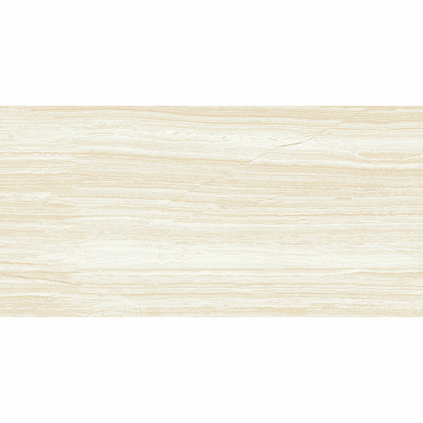 gach-taicera-60x120-gp12206