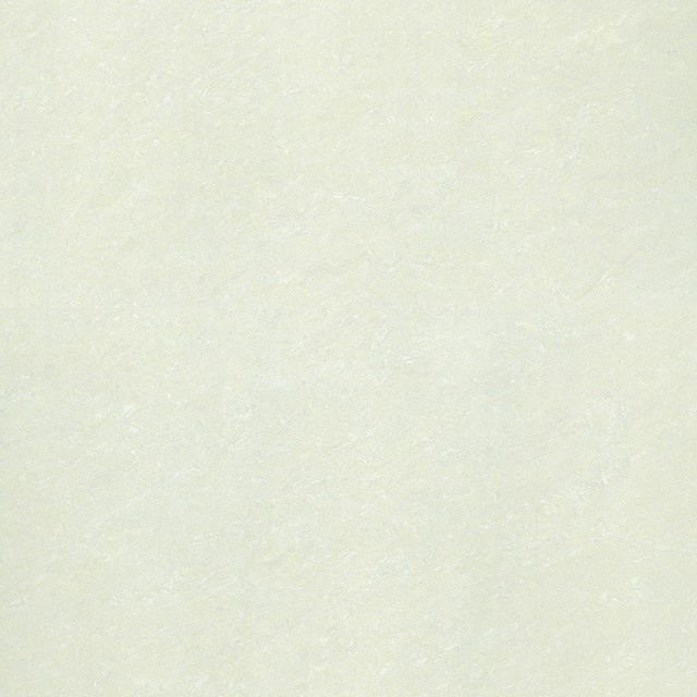 Gạch Taicera P87703N