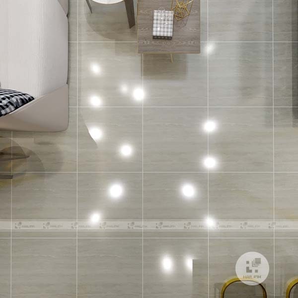 Gạch lát nền TKG P10208N