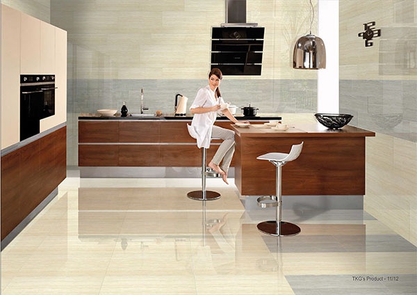 gạch ốp lát taicera fossil_series