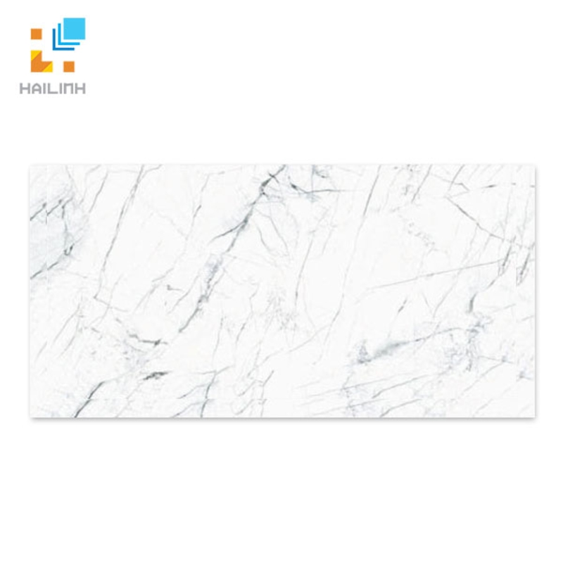 Gạch Taicera GP63905