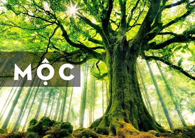 menh-moc-hop-mau-gi Menh moc hop mau gach nao