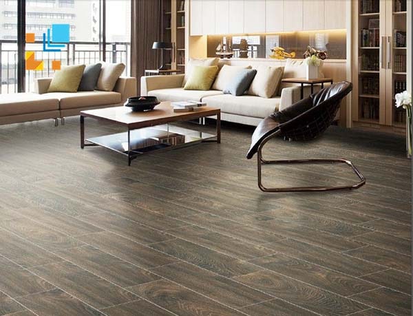 Gạch Taicera GC600X148-921