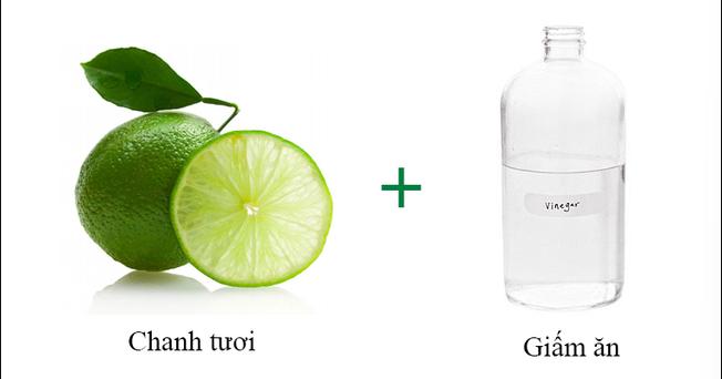 su-dung-chanh-tuoi-voi-dam-tay-trang-nha-ve-sinh sử dụng chanh tươi và dấm ăn làm trắng nhà tắm