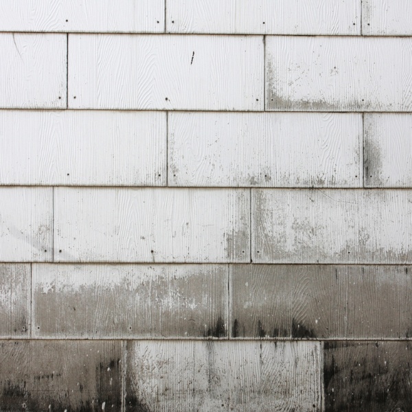 gach-men-bi-moc-312313