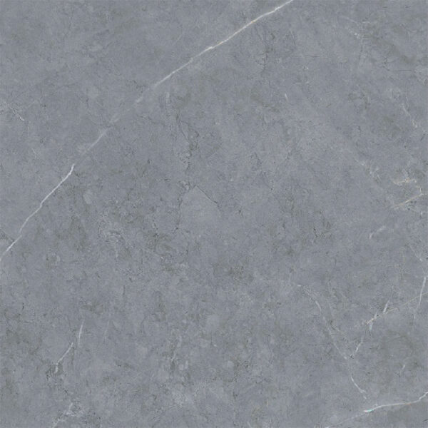 Gạch Taicera GP88238 - Ảnh 2